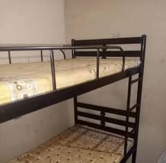 bunk bed