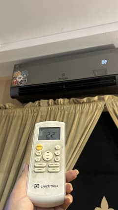Electrolux