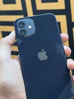 Iphone 12 with box