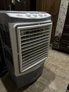 12 volt cooler