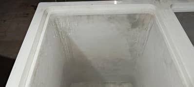 dollars deep freezer double door