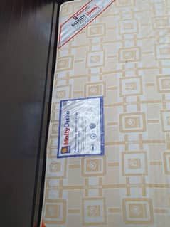 New Molty Ortho Mattress
