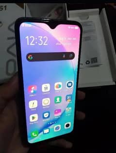 vivo