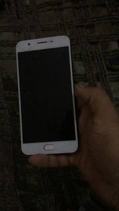 watapp number 03114835698