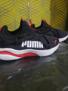 PUMA