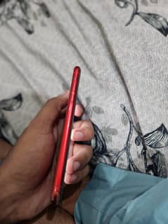 iphone 11 Pta approved
