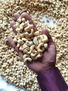 dry fruit kajo 1 kg
