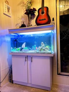 Stylish Fish Aquarium with cabinets