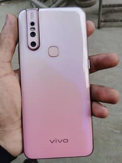 vivo