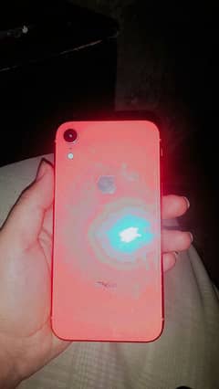 IPhone XR Jv