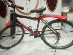 cycle