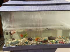 Aquarium