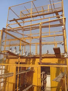 cage for sale
