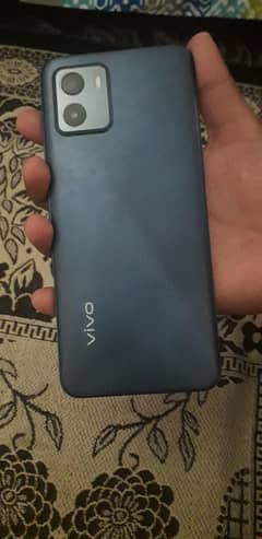 vivo