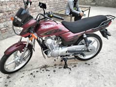 GD110 Bike