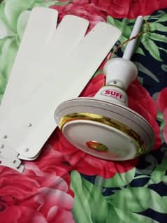 SUFI Best Ceiling Fan