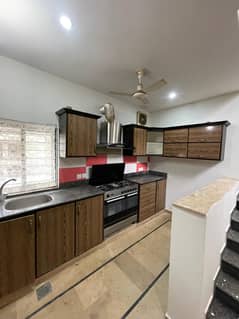 D12 full house for rent