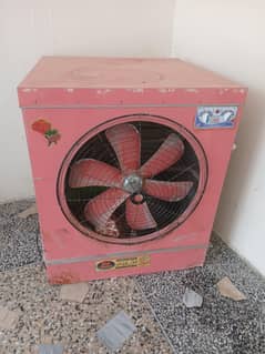 lahori room coller