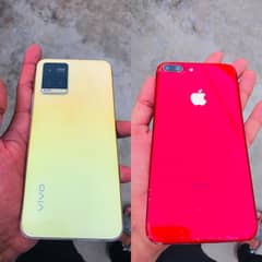 vivo