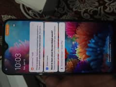 vivo