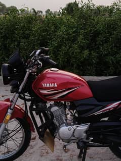 Yamaha YB125Z 2018 One hand used for sale