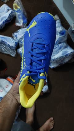 Puma