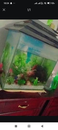 aquarium