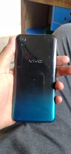 vivo