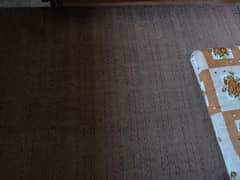 carpet