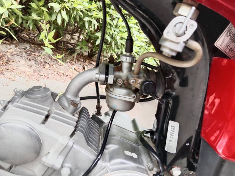 CD 70cc 2023 model 5