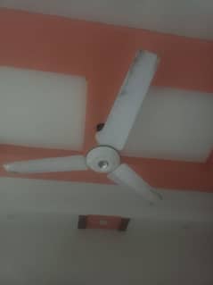 celling