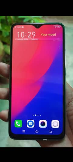 Vivo