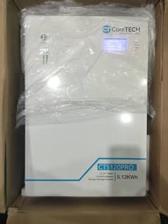 Lithium Battery 51.2V
