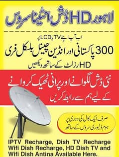 Dish