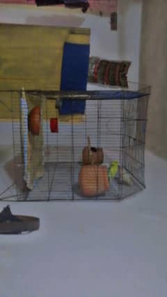cage for sale mara wattsapp 03445744844