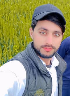 need job in Islamabad or Rawalpindi