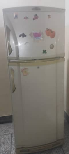 pel fridge/refrigerator
