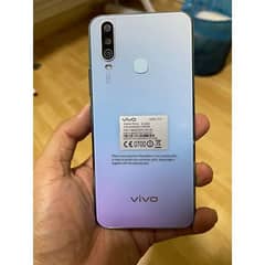 vivo