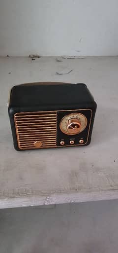 Speaker