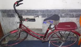 cycle for sale with low price