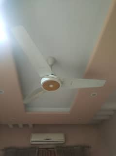 Royal Ceiling Fan in Good Condition