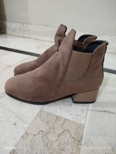 Stylo