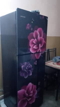toyo fridge