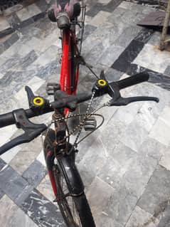 phonix gear cycle A 1