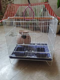 Bird cage (Pinjira) almost new in condition