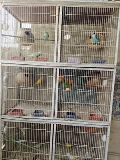 full pair and 4 month kids