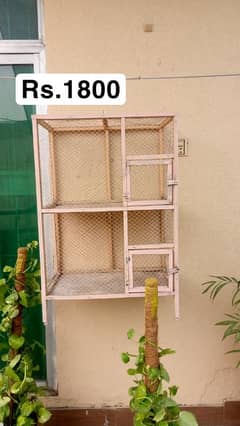 best cage