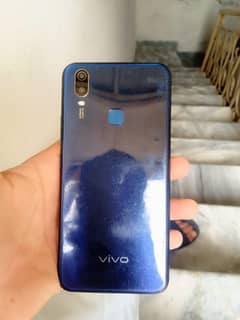 vivo