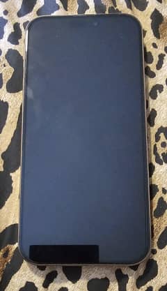 IPhone 16 Promax
