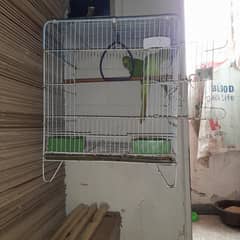 Ringneck chicks + folding cage